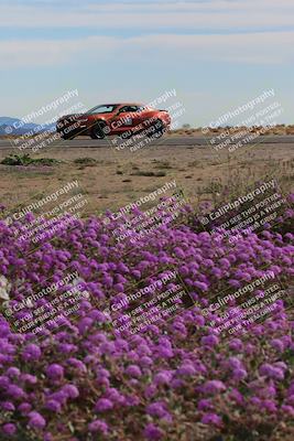 media/Jan-08-2023-SCCA SD (Sun) [[8f6a5b9391]]/Advanced Group/Session 2 (Short Straight)/
